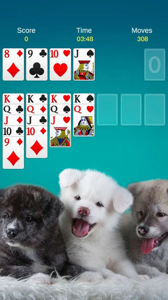 《纸牌游戏》游戏截图1