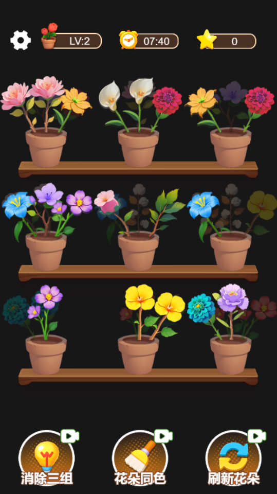 《花儿消不停》游戏截图1