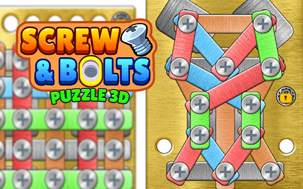 Screw Bolts Puzzle