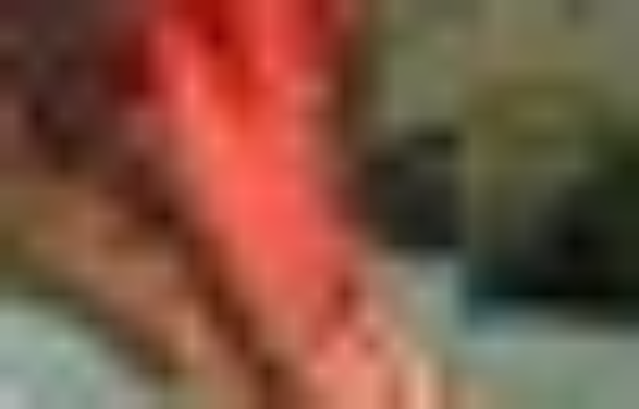 霸王龙觉醒2无敌版