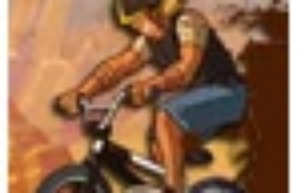 小轮车冒险之旅