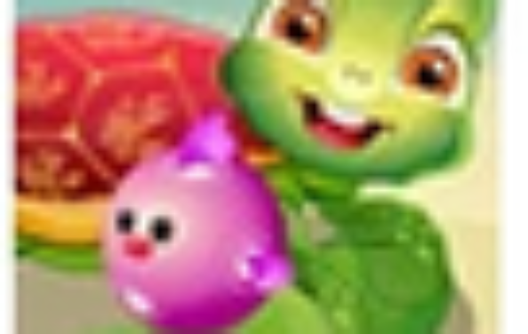 照顾可爱的小乌龟