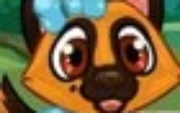 女孩的可爱狗狗