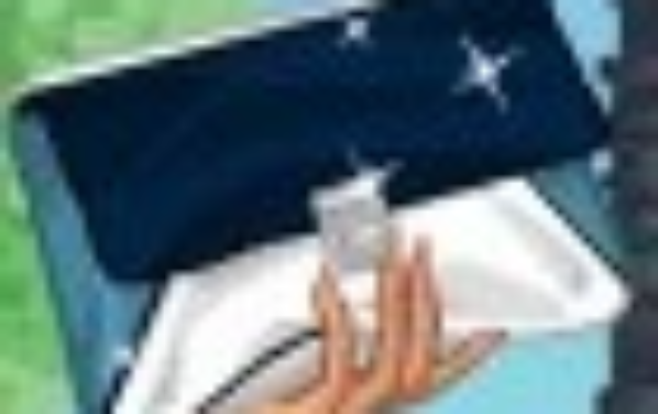 夏日缤纷的手拿包