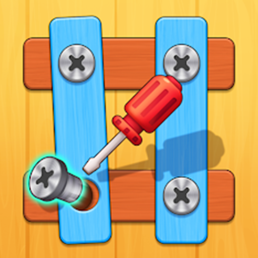 Screw Bolts Puzzle