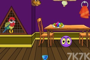 《玫瑰鹦鹉逃脱》游戏截图3 《玫瑰鹦鹉逃脱》游戏截图3