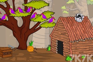 《救援高山白羊》游戏截图2 《救援高山白羊》游戏截图2