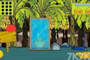 《救援蟾蜍》游戏截图3 《救援蟾蜍》游戏截图3