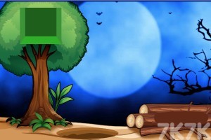 《救援猫头鹰》游戏截图3 《救援猫头鹰》游戏截图3