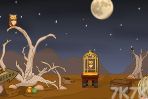 《救援沙漠猫头鹰》游戏截图2 《救援沙漠猫头鹰》游戏截图2