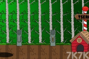 《拯救金翅雀》游戏截图2 《拯救金翅雀》游戏截图2