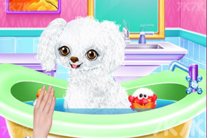 《艾尔莎的新朋友》游戏截图1 《艾尔莎的新朋友》游戏截图1