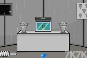 《救援公鸡一家》游戏截图4 《救援公鸡一家》游戏截图4