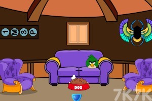 《救援葵花鹦鹉》游戏截图4 《救援葵花鹦鹉》游戏截图4