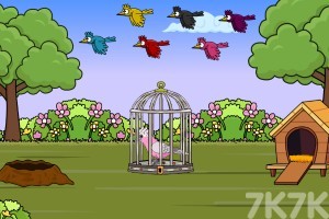 《救援葵花鹦鹉》游戏截图1 《救援葵花鹦鹉》游戏截图1