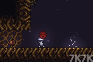 《植物学家冒险》游戏截图3