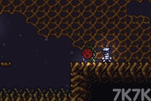 《植物学家冒险》游戏截图2