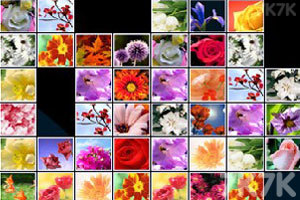 《花花连连看》游戏截图5 《花花连连看》游戏截图5