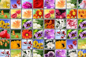 《花花连连看》游戏截图3 《花花连连看》游戏截图3