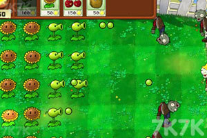 《植物大战僵尸变态版》游戏截图2