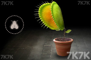 《神奇的种子》游戏截图2 《神奇的种子》游戏截图2