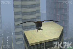 《像鸟儿一样飞3》游戏截图6 《像鸟儿一样飞3》游戏截图6