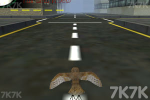 《像鸟儿一样飞3》游戏截图3 《像鸟儿一样飞3》游戏截图3