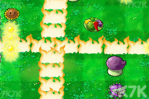 《植物大战僵尸羊年版》游戏截图3 《植物大战僵尸羊年版》游戏截图3