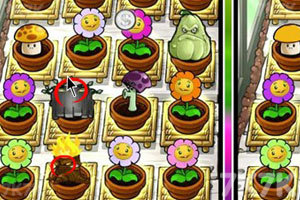 《植物大战僵尸之整理后花园》游戏截图8 《植物大战僵尸之整理后花园》游戏截图8