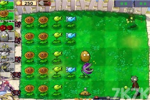 《植物大战僵尸升级版》游戏截图1
