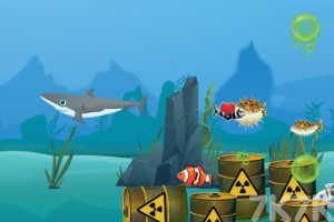 《鲨鱼进化》游戏截图1 《鲨鱼进化》游戏截图1
