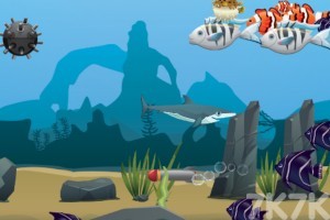 《鲨鱼进化》游戏截图2 《鲨鱼进化》游戏截图2