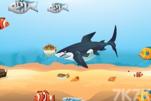 《鲨鱼进化》游戏截图4 《鲨鱼进化》游戏截图4