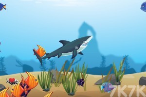 《鲨鱼进化》游戏截图3 《鲨鱼进化》游戏截图3