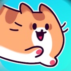 柔软的猫咪