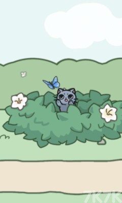《天天躲猫猫2》游戏截图6 《天天躲猫猫2》游戏截图6