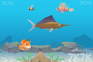 《梦幻大鱼吃小鱼》游戏截图4 《梦幻大鱼吃小鱼》游戏截图4