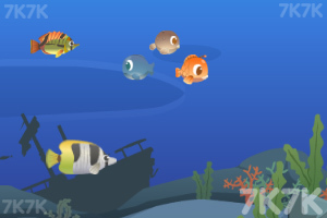 《梦幻大鱼吃小鱼》游戏截图5 《梦幻大鱼吃小鱼》游戏截图5