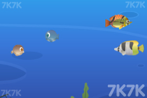 《梦幻大鱼吃小鱼》游戏截图3 《梦幻大鱼吃小鱼》游戏截图3