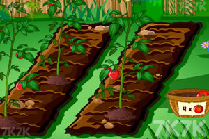 《朱丽叶的花园》游戏截图3 《朱丽叶的花园》游戏截图3