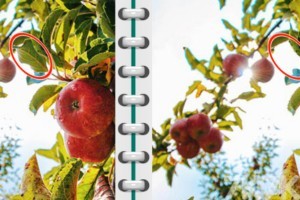 《找茬高手》游戏截图4 《找茬高手》游戏截图4