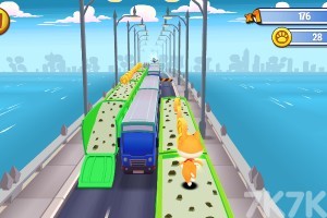 《跑酷抓浣熊》游戏截图3 《跑酷抓浣熊》游戏截图3