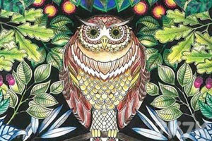 《秘密花园涂色本》游戏截图5 《秘密花园涂色本》游戏截图5