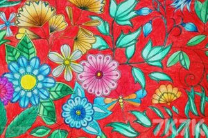 《秘密花园涂色本》游戏截图4 《秘密花园涂色本》游戏截图4