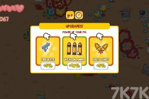 《飞猪幸存者》游戏截图4 《飞猪幸存者》游戏截图4