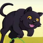 猫咪冒险