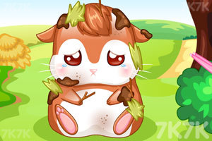 《我的仓鼠宝宝》游戏截图4 《我的仓鼠宝宝》游戏截图4