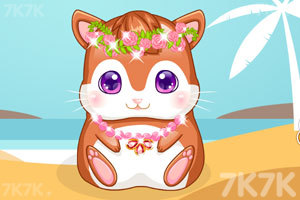 《我的仓鼠宝宝》游戏截图1 《我的仓鼠宝宝》游戏截图1