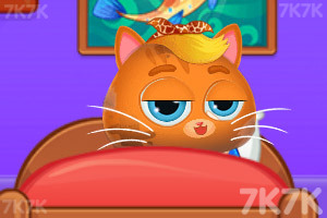 《养只喵星人》游戏截图5 《养只喵星人》游戏截图5
