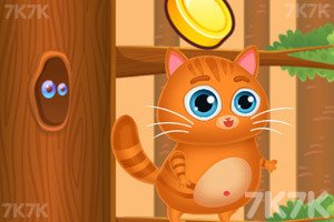 《养只喵星人》游戏截图2 《养只喵星人》游戏截图2